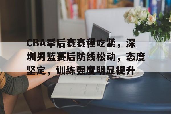 CBA季后赛赛程吃紧，深圳男篮赛后防线松动，态度坚定，训练强度明显提升的简单介绍-爱游戏